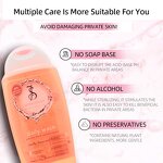 Vulva Cleaning Liquid Manufacturer - Portable Antibacterial Deodorant Antipruritic for Women Daily Use