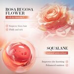 Hair Oil Manufacturer - Rose Hip Extract Anti-Dandruff Nourishing Hair-Repairing & OEM ODM Wholesale