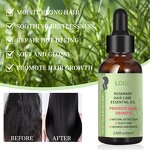 Essential Oil Manufacturer - High Quality Custom Organic Rosemary for Hair Growth Moisturizing Smoothing & OEM ODM Factory