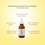 Tea Tree Essence Serum Manufacturer - 30ml Vegan Anti-Acne Pore Refining Blackhead Remover