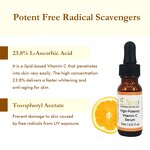 Vitamin C E Serum Manufacturer - High-Potency Anti-Aging Whitening OEM/ODM Private Label