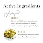 Benzoyl Peroxide Gel Manufacturer - 10% Sulfur Ultimate Pimples Blackheads Anti Acne