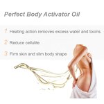 Fat Burning Cream Manufacturer - Plant Enzymes Cellulite Improve Microcirculation Slimming