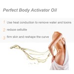 Anti-Cellulite Essential Oil Manufacturer - Herbal Fat Burning Body Massage Oil