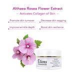 Multi-Peptides Plant Cream Manufacturer - Instant Anti-Aging Whitening Nourishing Exosomes