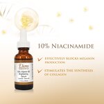 Niacinamide Vitamin B5 Serum Manufacturer - 10% Oil-Free Skin Blemishes Brightening Anti-Aging