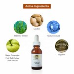 Apple Stem Cell Serum Manufacturer - Hyaluronic Acid Wrinkle Removal Anti Aging Plant