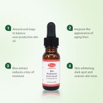 Collagen Sebum Control Serum Manufacturer - Anti-Acne Oily Skin Brightening Pore Shrinking OEM