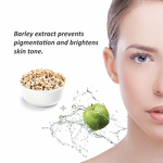 Apple Stem Cell Night Cream Manufacturer - Hexapeptide Anti Wrinkle Nourishing Facial