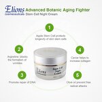 Apple Stem Cell Night Cream Manufacturer - Hexapeptide Anti Wrinkle Nourishing Facial