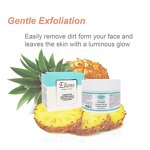 Pineapple Enzyme Scrub Gel Manufacturer - Vegan Herbal Anti-Wrinkle Whitening Acne Sensitive