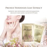 Vitamin C Sheet Peel Manufacturer - Hyaluronic Acid AHA Tranexamic Acid Whitening