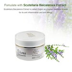 Primer Sunscreen Foundation Manufacturer - Glycerin Anti-Wrinkle Anti-Aging Combination Skin