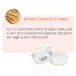 Luxury Anti-Wrinkle Cream Manufacturer - Beauty Cosmetics Face Cream & Lotion