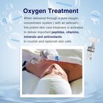 Aloe Vera Nebulizer Machine Manufacturer - Seaweed Hyaluronic Acid Peptide Anti-Aging Oxygen