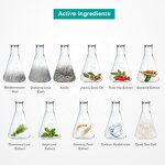 Dead Sea Black Mud Peel Manufacturer - Rosemary Extract Moisturizer Dull Congested Skin