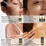 Skin Care Set Manufacturer - Whitening Facial Dark Spots Remover Hyaluronic Acid Vitamin C Serum & Private Label