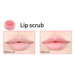 Lip Scrub Wholesale Supplier - Hot Selling Gently Exfoliate Coconut Peach Strawberry Watermelon Sugar