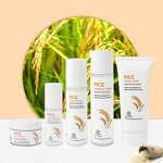 Skin Care Set Manufacturer - Rice Extract Natural Organic Whitening Moisturizer Face Serum Cream & Private Label