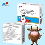Calcium Lactate Premix - Optimal Nutrition Essential Healthy Animals Feed Additive