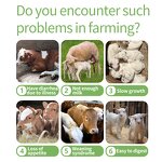 Calcium Powder Supplement - OEM Super Concentrated Calves Lambs Bone Joint Feed