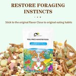 Hamster Food Supplies - Staple Comprehensive Seafood Fruit Small Pet Snacks