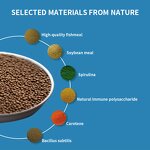 Spirulina Fish Food - Wholesale Small Granule Tropical Ornamental Fish Feed