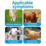 Poultry Feed Additive - Enzymes Clostridium Butyrate Growth Weight Booster Powder