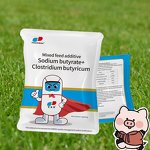 Dicalcium Phosphate - Organic Feed Additive Livestock Probiotic Enzyme Powder