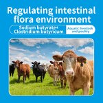 Livestock Probiotic Additive - Clostridium Butyrate Sodium Butyrate Optimal Performance
