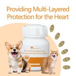 CoQ10 Pet Tablet - Vegetarian Natural Halal Immune Support Vitamin Mineral