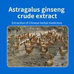 Swine Phytogenic Solution - Premium Liquid Trace Elements Piglet Birth Weight Additive