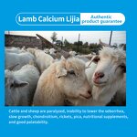 Calcium Lactate Premix - Optimal Nutrition Essential Healthy Animals Feed Additive