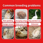 Poultry Feed Additive - Natural Feather Pecking Restore Flock Peace Normal Feeding