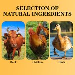 Premium Pet Ham Sausage - High-Protein Fresh Meat Four Flavors Dog Cat Treats