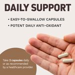 Ceylon Cinnamon Capsules - 1500mg 120 Count Sri Lanka Powder Joint Support