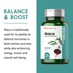 BBL Hip Butt Capsule - Wisntown 0.5g*10 Chinese Herbal Firming Lifting Energy