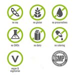 Vitamin B Complex Capsules - Vegan CoQ10 Choline Biotin B6 Folate B12 Energy Support