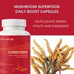 Cordyceps Sinensis Extract - Cordyceps Acid Adenosine Pulmonary Kidney Maintenance