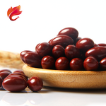 Collagen Capsules - 1000mg Pure Skin Whitening Elasticity Hard Soft Gel Supplements