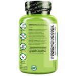 Vitamin B Complex Capsules - Vegan CoQ10 Choline Biotin B6 Folate B12 Energy Support