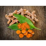 Turmeric Extract Manufacturer - Nano Curcumin Powder CAS 458-37-7