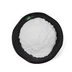 Dimethylmethoxy Chromanyl Palmitate Manufacturer - Cosmetic Whitening CAS 1105025-85-1 & Factory Supply