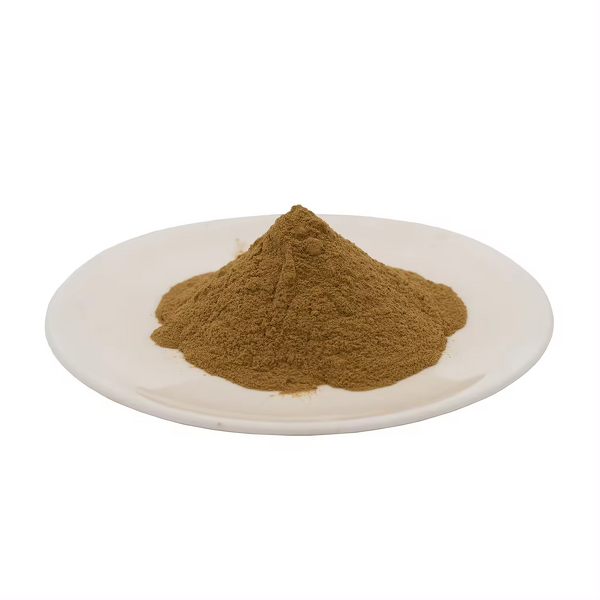 Ginkgo Biloba Extract Manufacturer - Powder CAS 90045-36-6 & Factory Wholesale