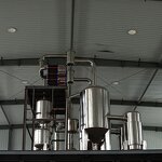 Bee Venom Powder - CAS91261-16-4 Apitoxin Hot Sale Good Price Factory Supply