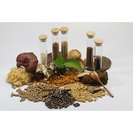 Ganoderma Lucidum Spore Powder - Factory Direct Reishi Mushroom Spore Powder