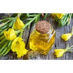 Evening Primrose Oil - High Quality Evening Primrose Extract Active Demand Bulk