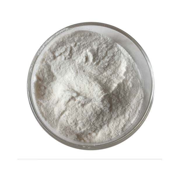 Ginseng Peptide - Hot Sale Ginseng Powder Fresh High Quality Factory Supply