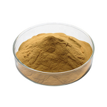 Ganoderma Lucidum Spore Powder - Factory Direct Reishi Mushroom Spore Powder