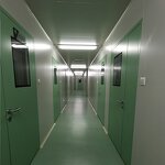 Lactobacillus Casei - Factory Supply Pure Food Supplement Probiotic Powder